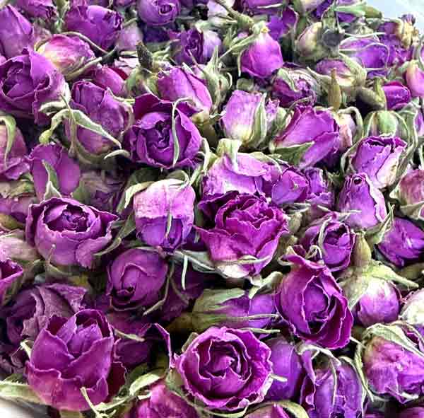 فقط یک مشت از بهشت! غنچه‌های لوکس لاله زار
